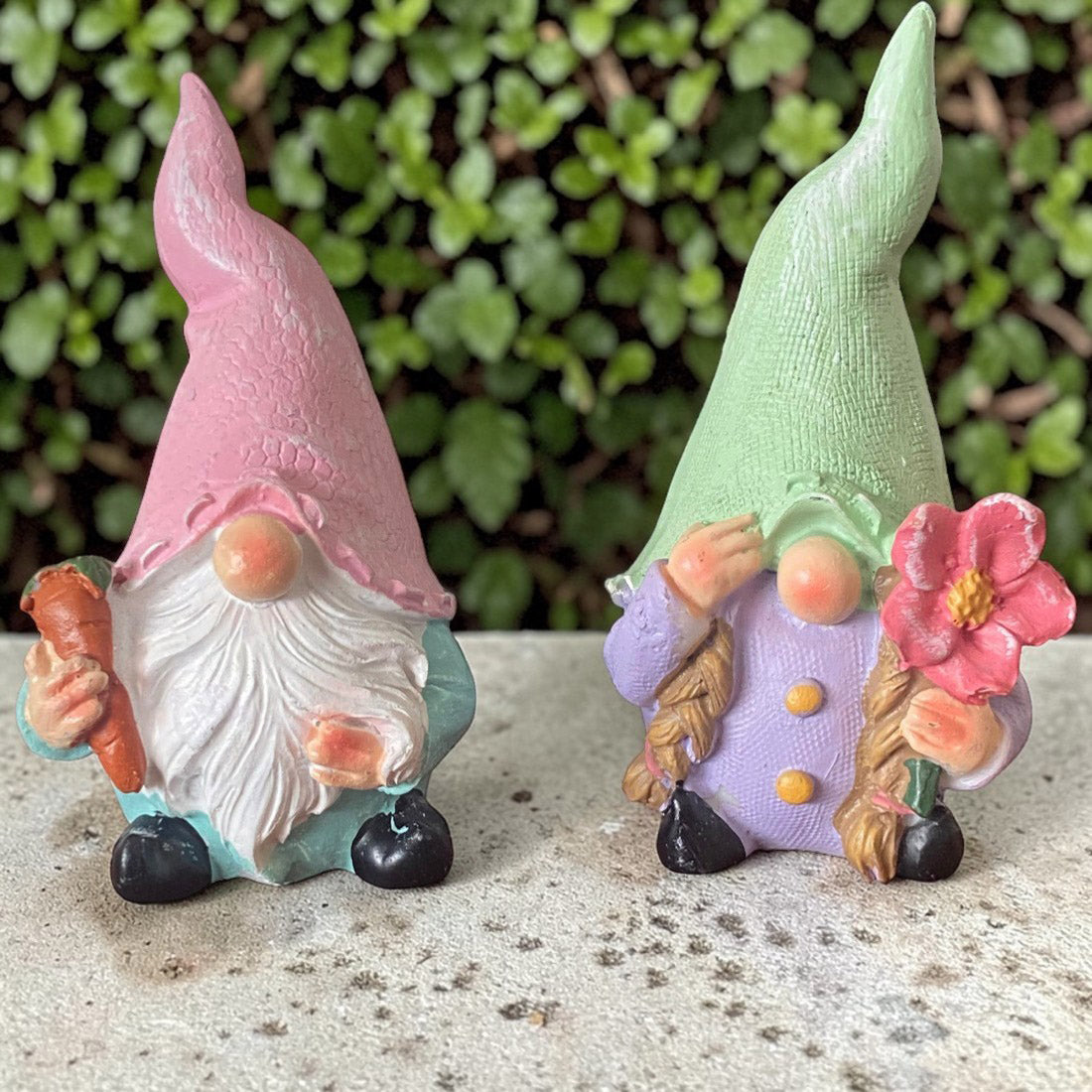 2 Piece Gnome Set