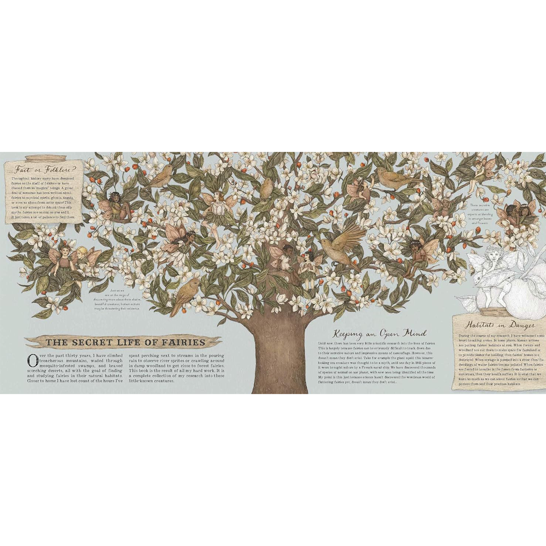 A Natural History of Fairies by Emily Hawkins Hardcover