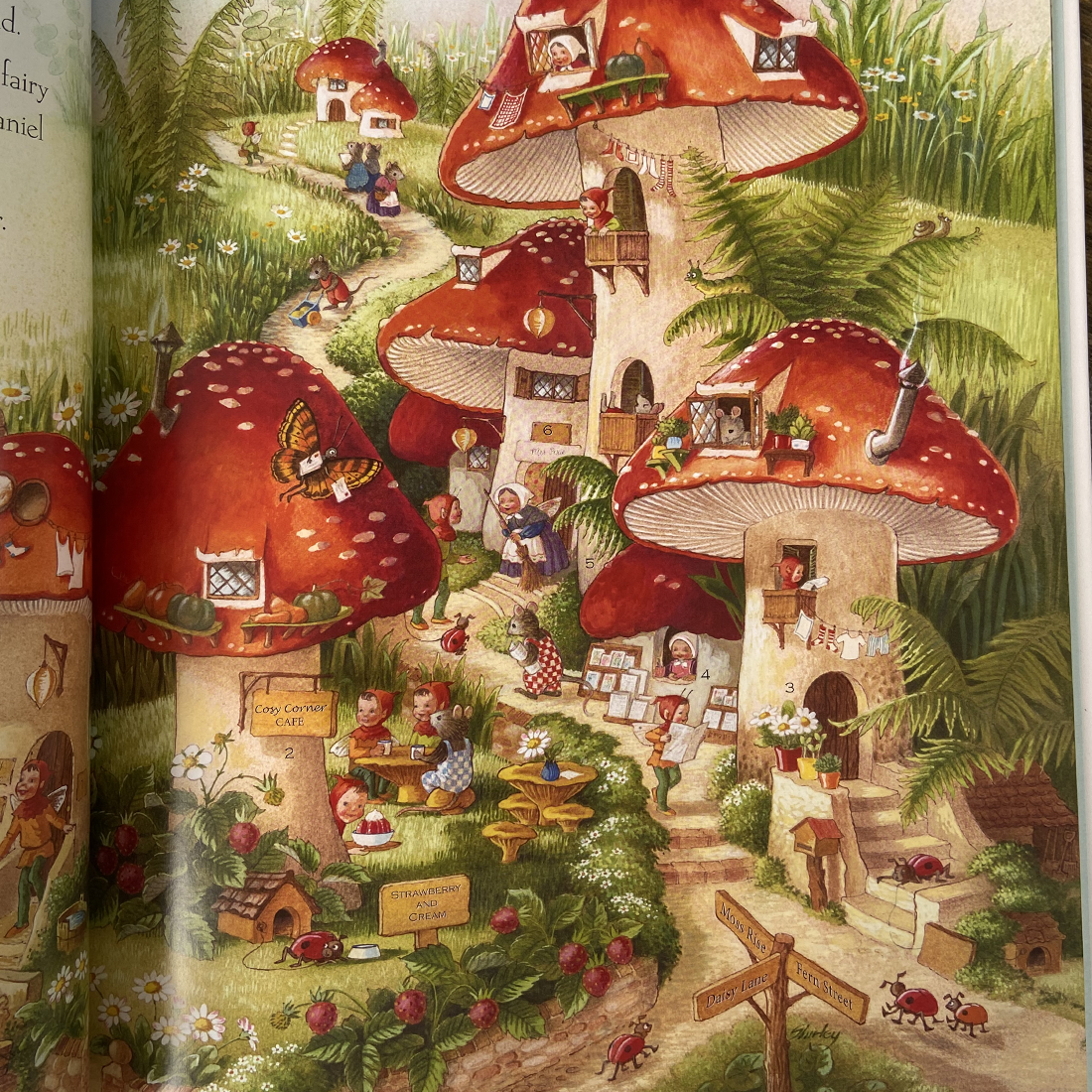 A Visit to Fairyland by Shirley Barber Lenticular Edition Hardcover