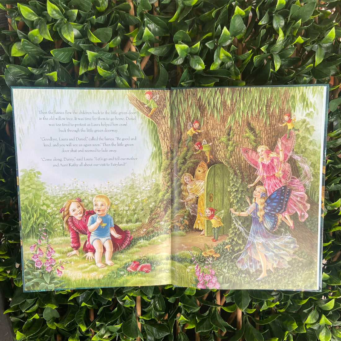 A Visit to Fairyland Hardback Book by Shirley Barber