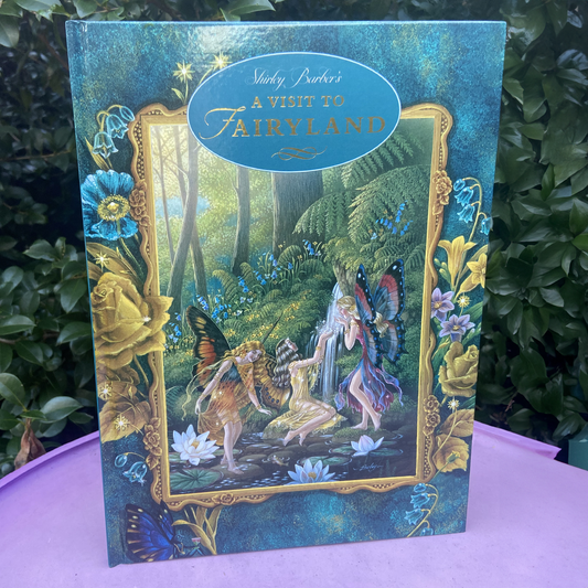 A Visit to Fairyland Hardback Book by Shirley Barber