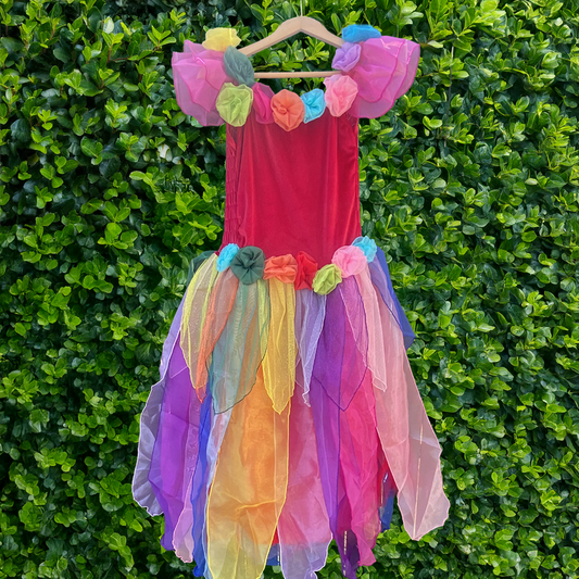 Adult Rainbow Fairy Dress