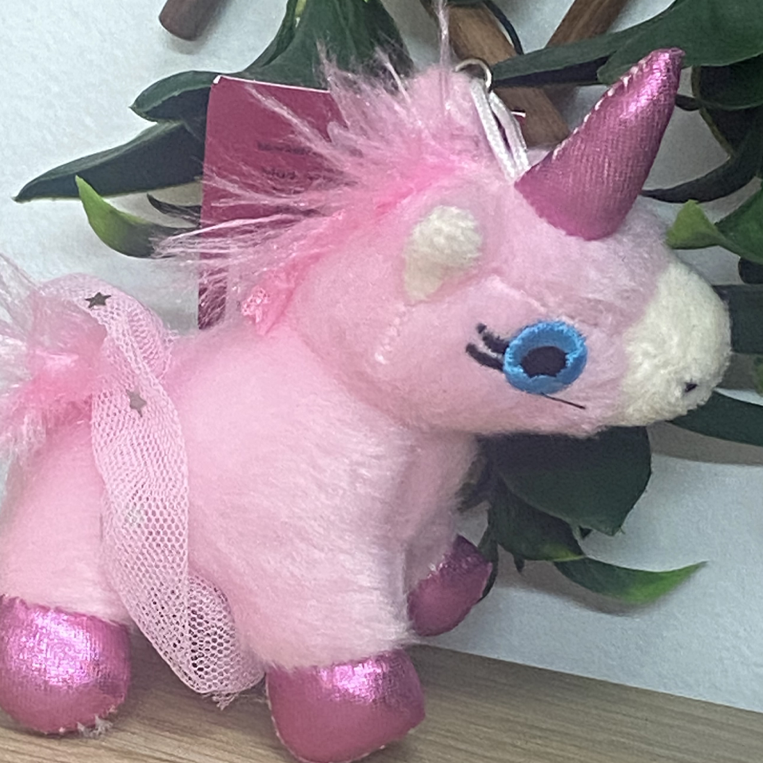 Ballerina Buddies Keyrings