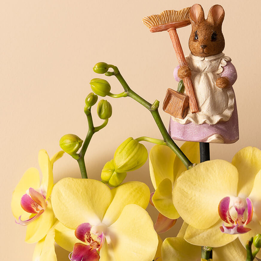 Beatrix Potter Hunca Munca Topper