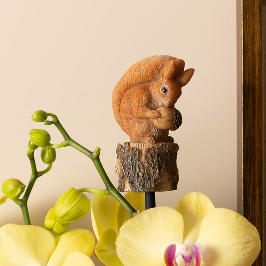 Beatrix Potter Squirrel Nutkin Garden Topper