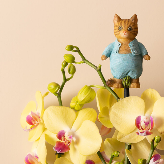 Beatrix Potter Tom Kitten Garden Topper