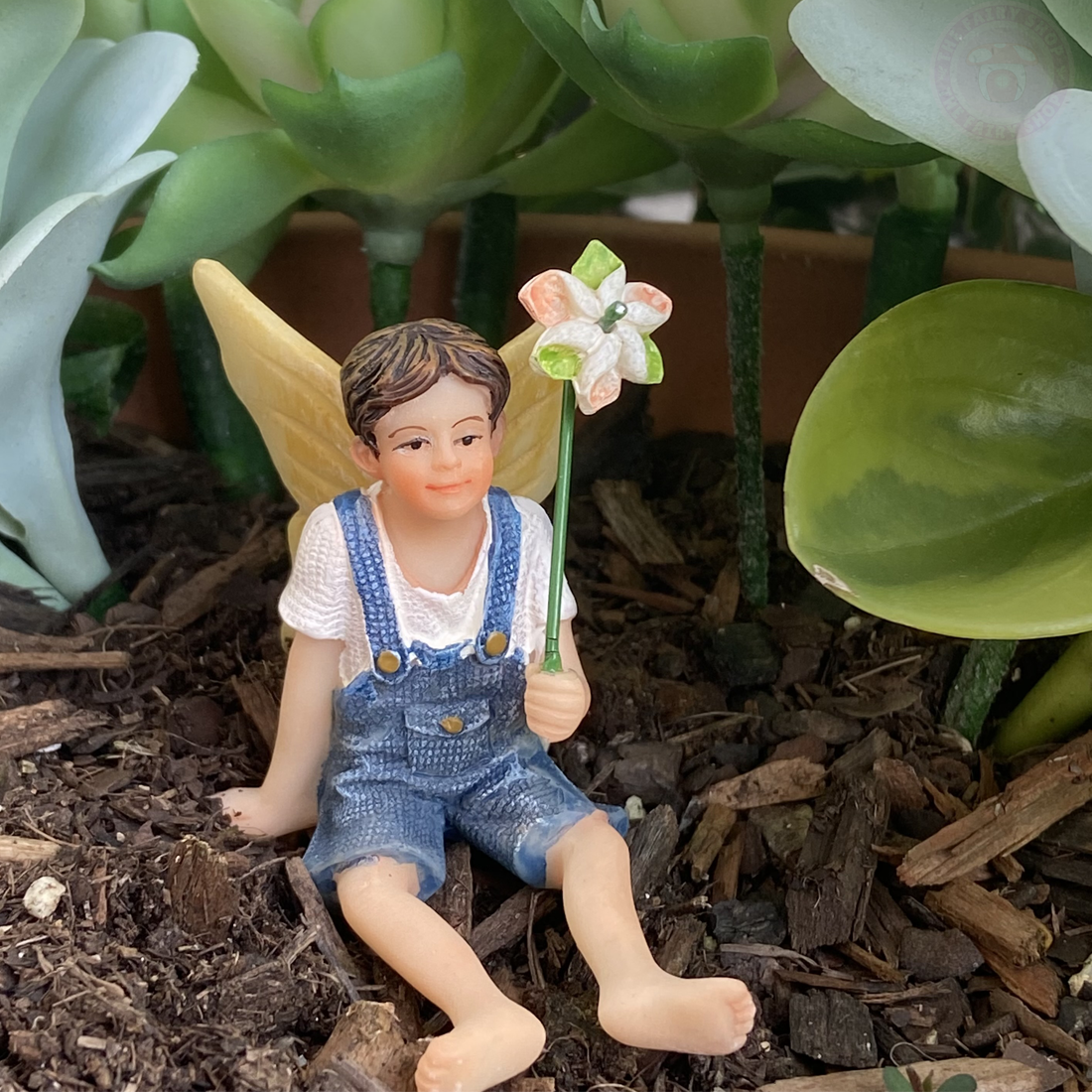 Boy Fairy With a Pinwheel