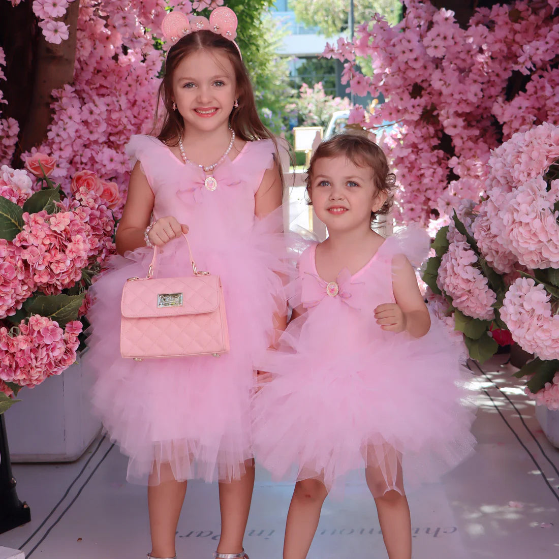 Claris The Chicest Mouse In Paris Magnificent Mess Tutu Dress