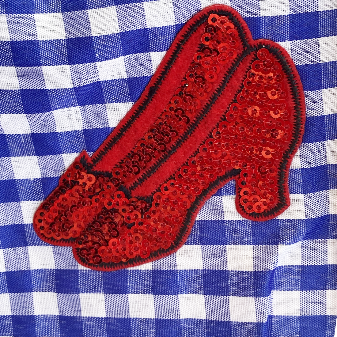 Dorothy Wizard of Oz Tutu Skirt