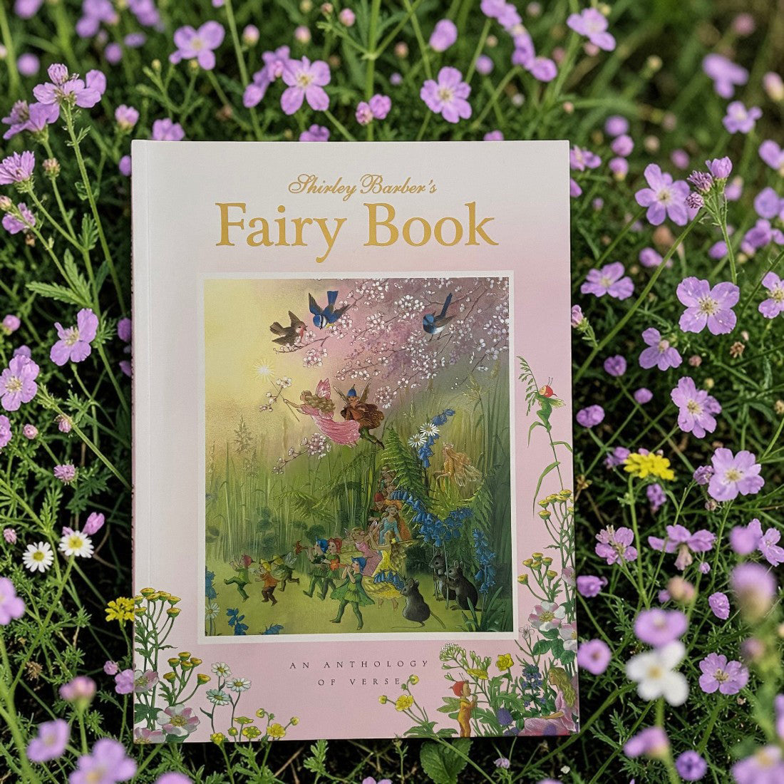 Fairy Book Paperback Book by Shirley Barber