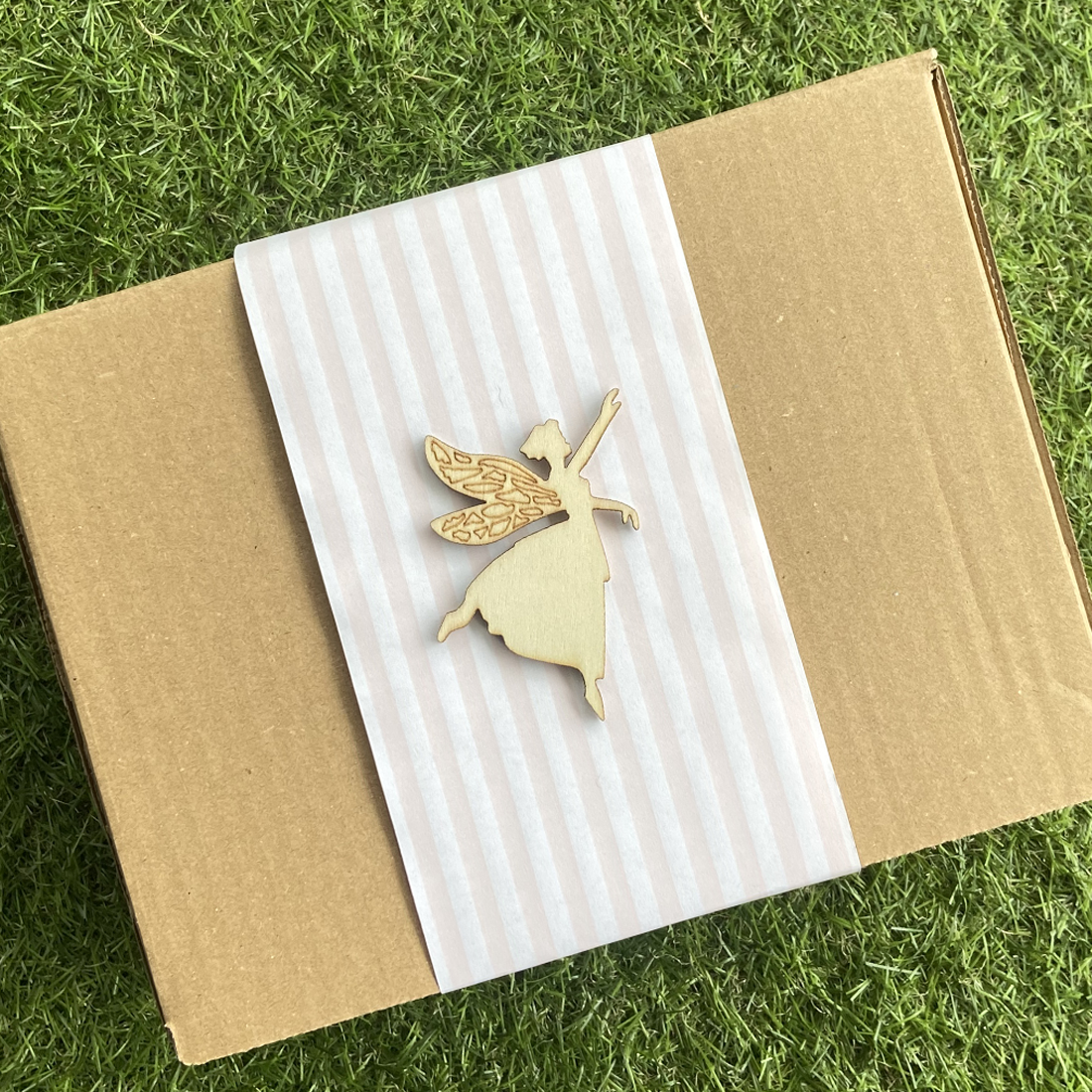 Fairy Garden Mushroom Kit Gift Set