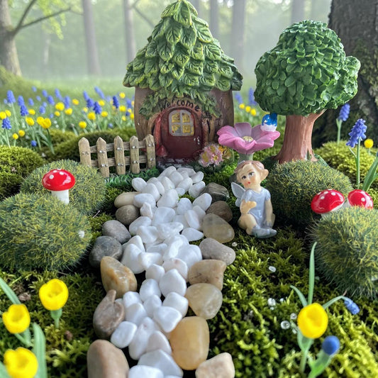 Fairy Garden Starter Kit - Welcome