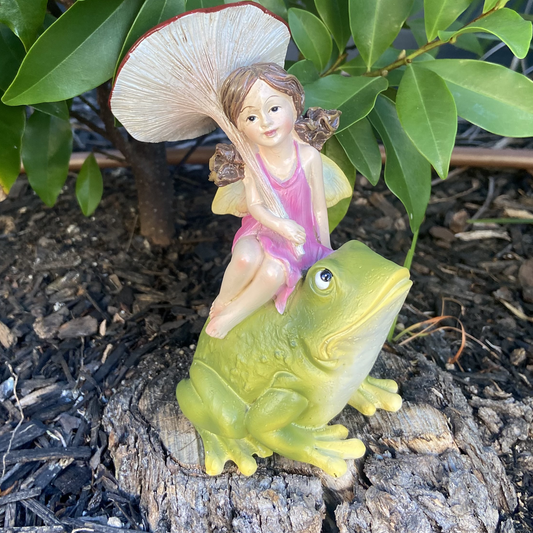 Fairy Sitting On A Frog Figurine