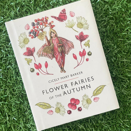 Flower Fairies of the Autumn