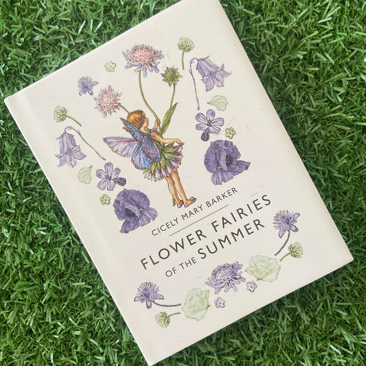 Flower Fairies of the Summer