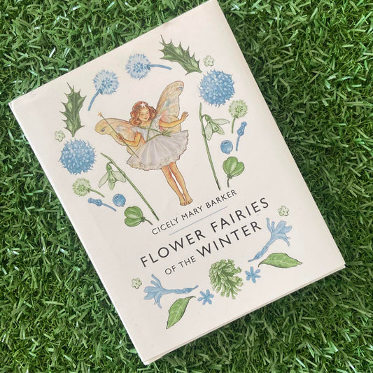 Flower Fairies of the Winter