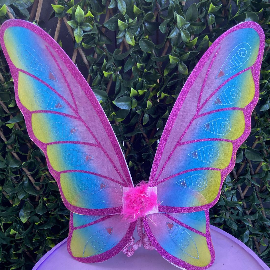 Great Pretenders Glitter Fairy Wings