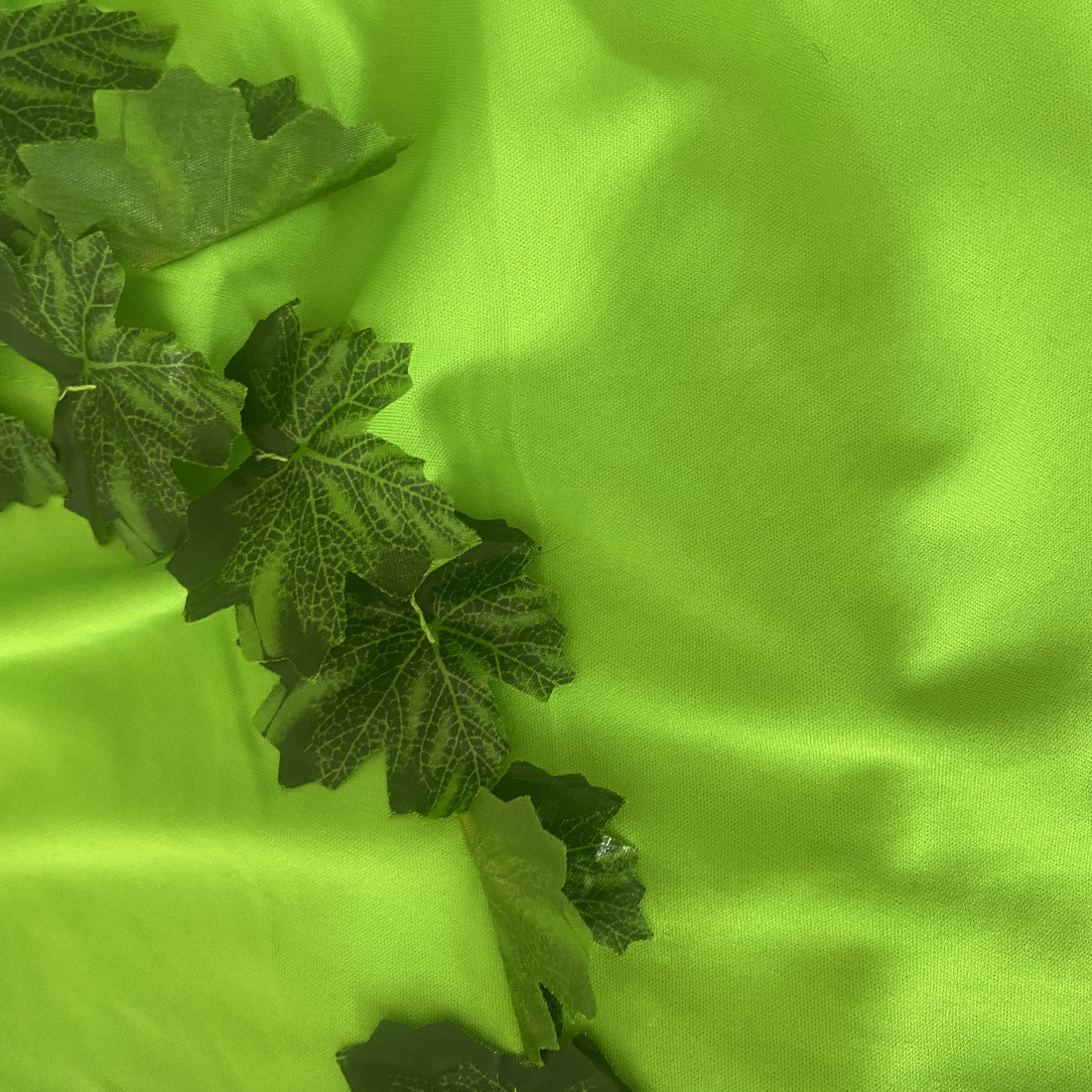 Green Fever Magical Fairy Costume