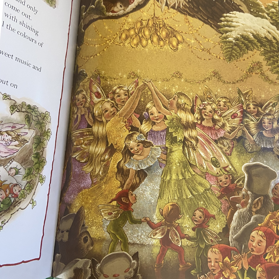 Martha B Rabbit The Fairies Cook Hardback Book by Shirley Barber