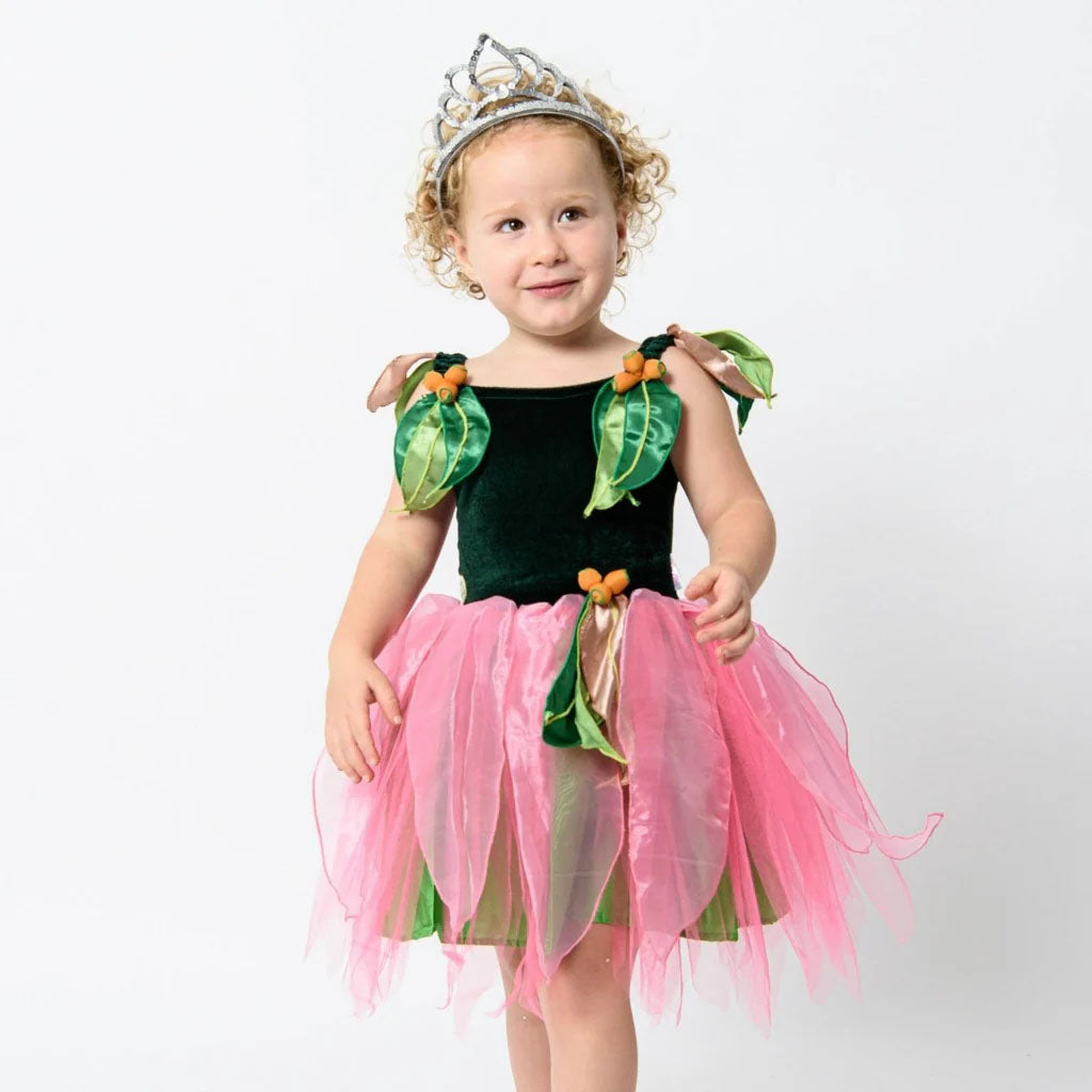 May Gibbs Little Ragged Blossom Fairy Dress