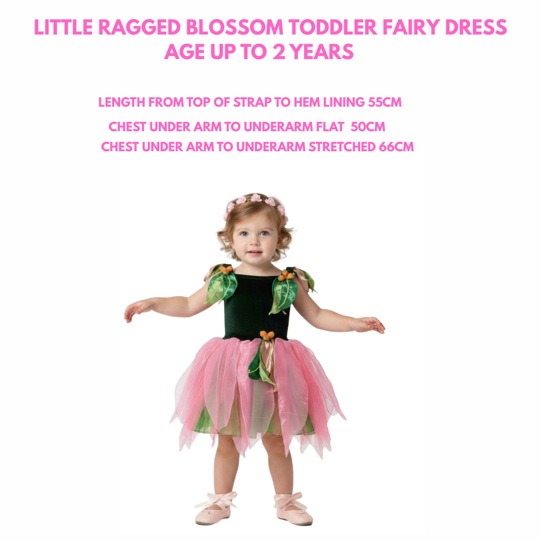 May Gibbs Little Ragged Blossom Toddler Fairy Dress