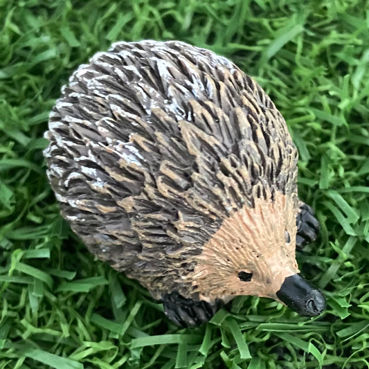 Miniature Fairy Garden Echidna