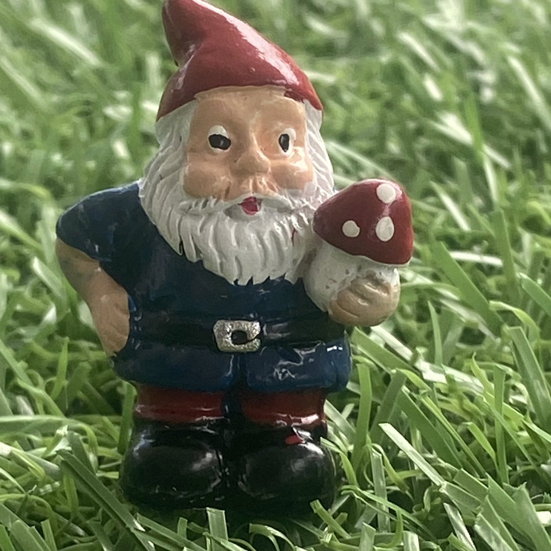 Miniature Gnome Figurines
