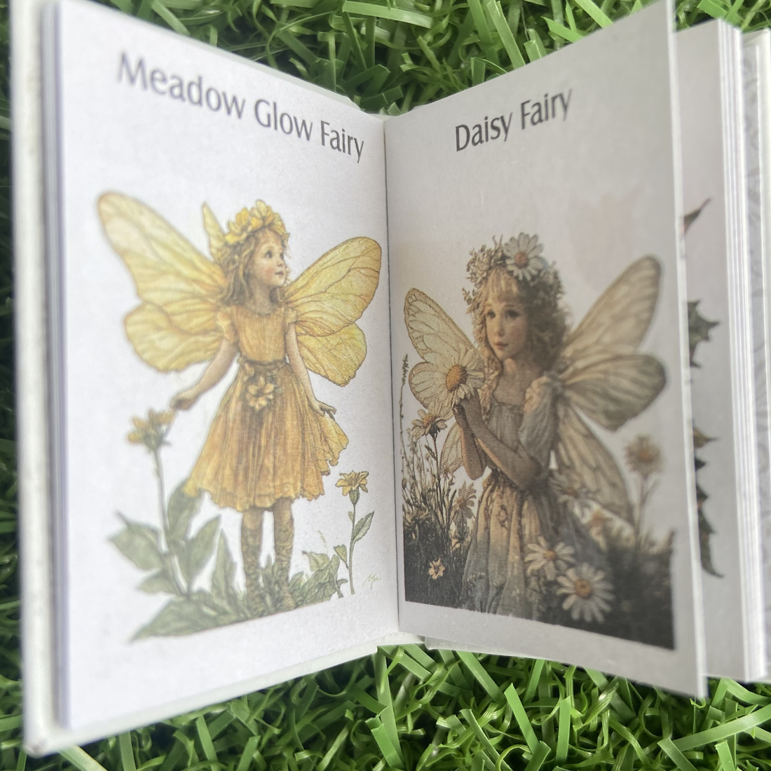 Miniature Illustrated Fairy Encyclopedia Books