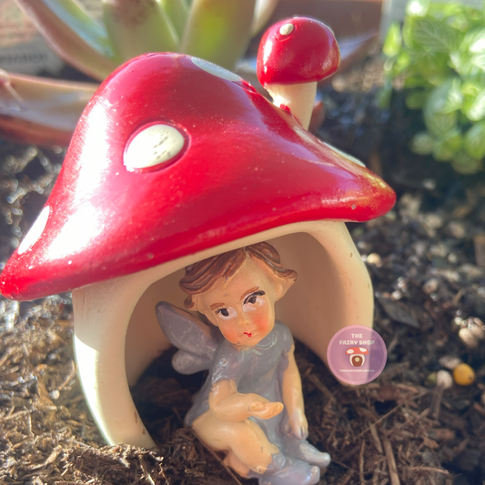 Miniature Mushroom House