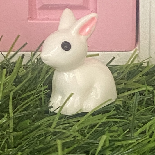 Miniature White Bunny Rabbit