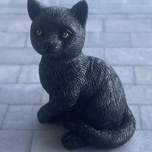 Mystic & Magic – Black Cat