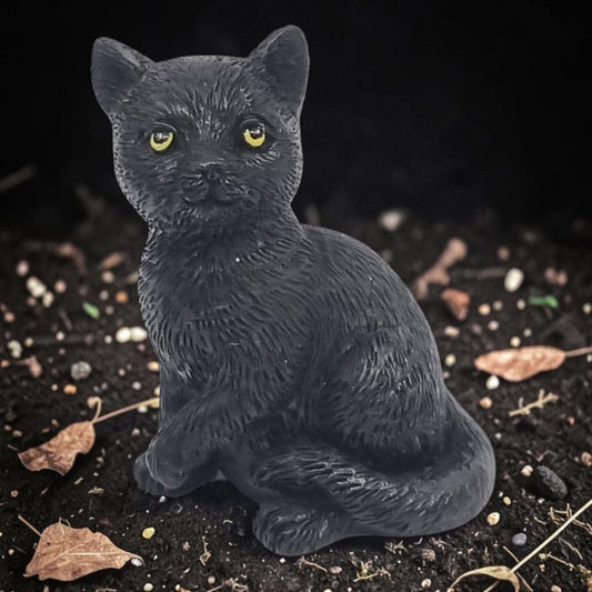 black good luck cat