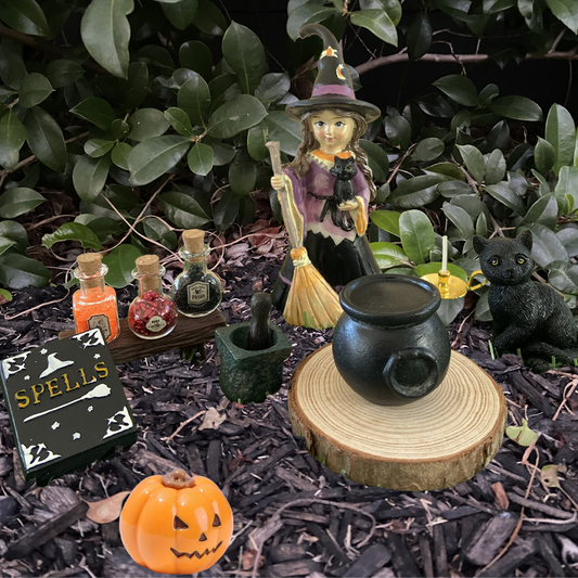 Mystic Magic Spooky Fairy Garden Set