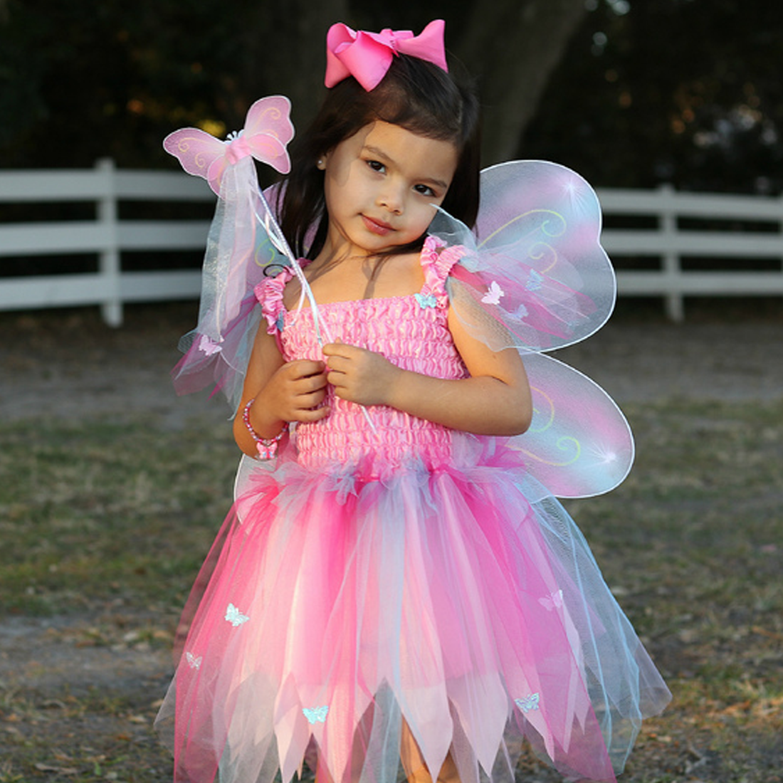 Pink Butterfly Dress & Wings with Wand - Size 5-6 The Fairy Shop Pink Butterfly Dress & Wings with Wand - Size 5-6 The Fairy Shop