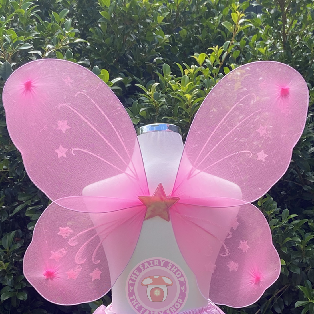 Pink Fairy Wings