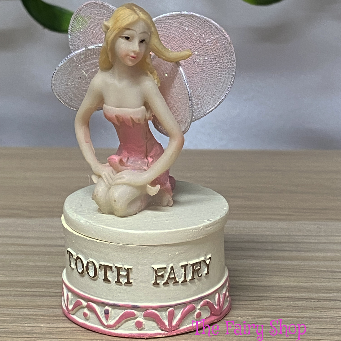 Pink Tooth Fairy Box