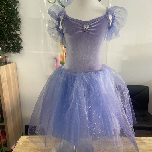 Princess Violet Velvet Dress with Tulle Skirt