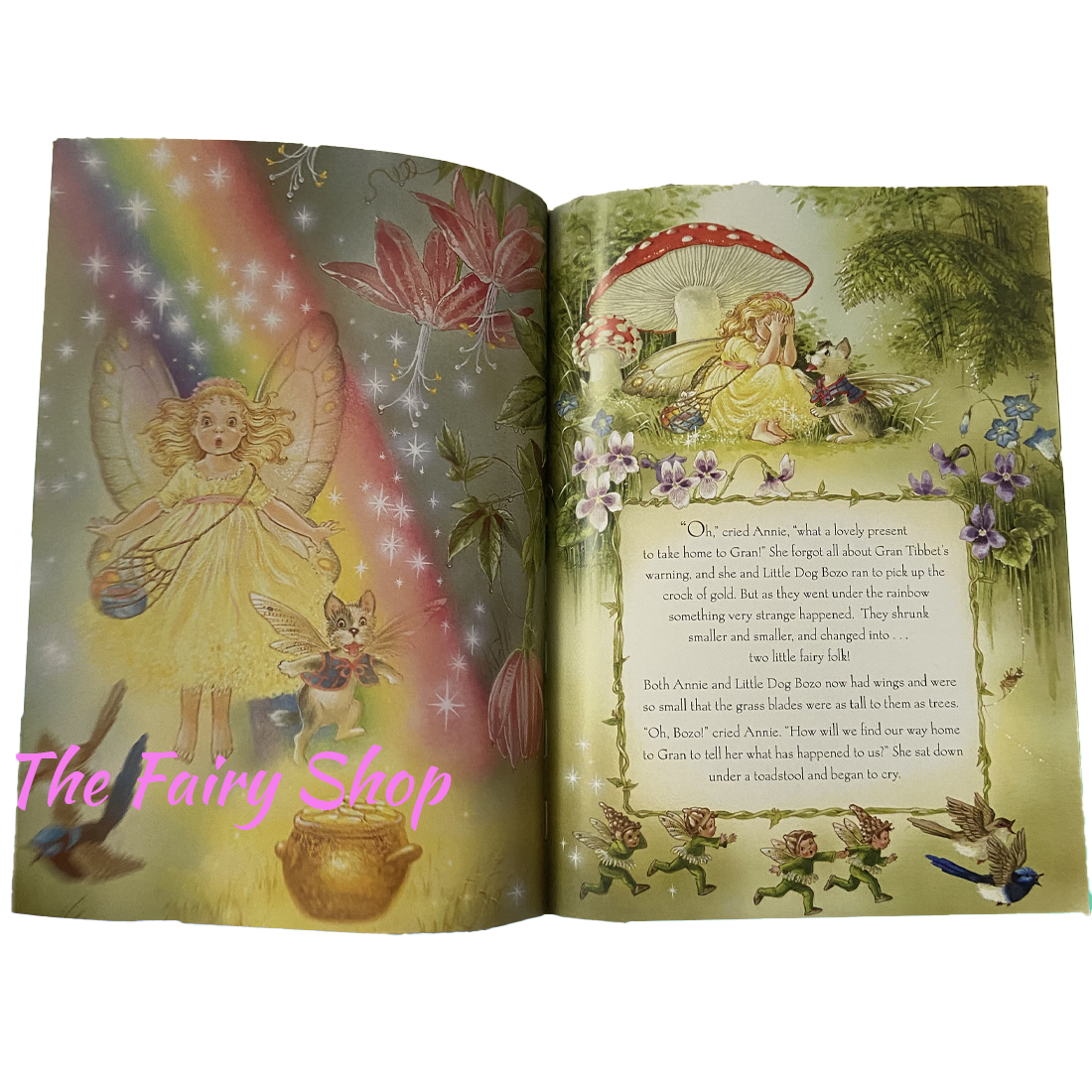 Rainbow Magic Hardback Book by Shirley Barber