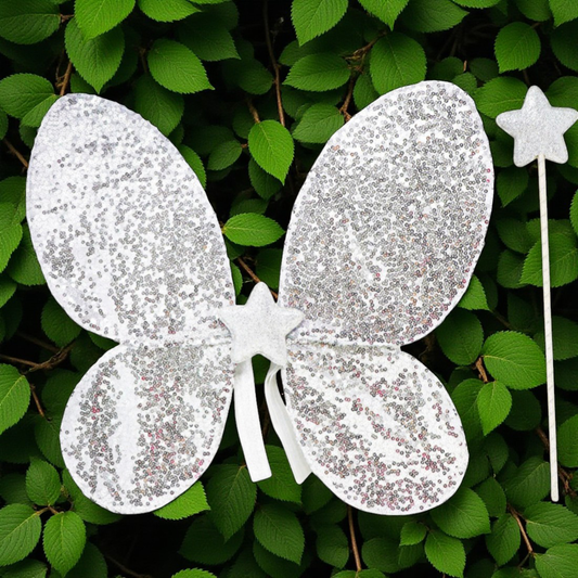 Silver Sequin Wings and Glitter Star Wand Set