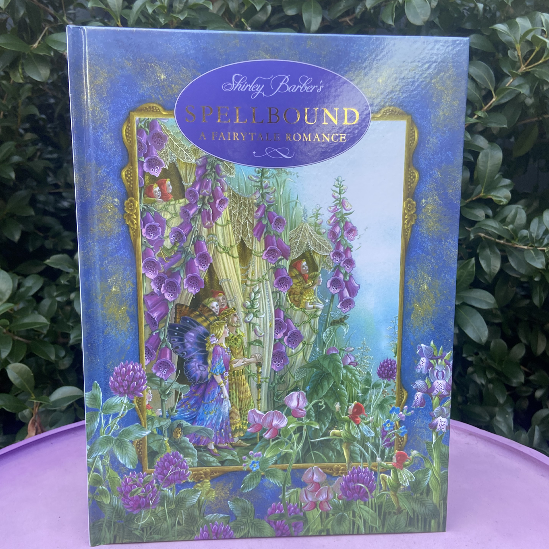 Spellbound A Fairytale Romance Hardback Book by Shirley Barber