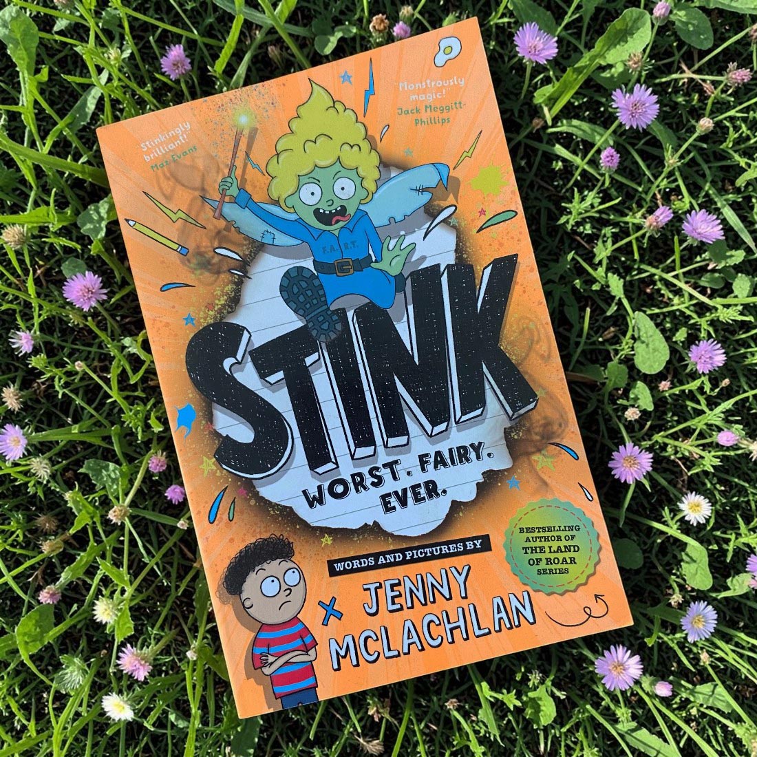 Stink Worst Fairy Ever Paperback Book