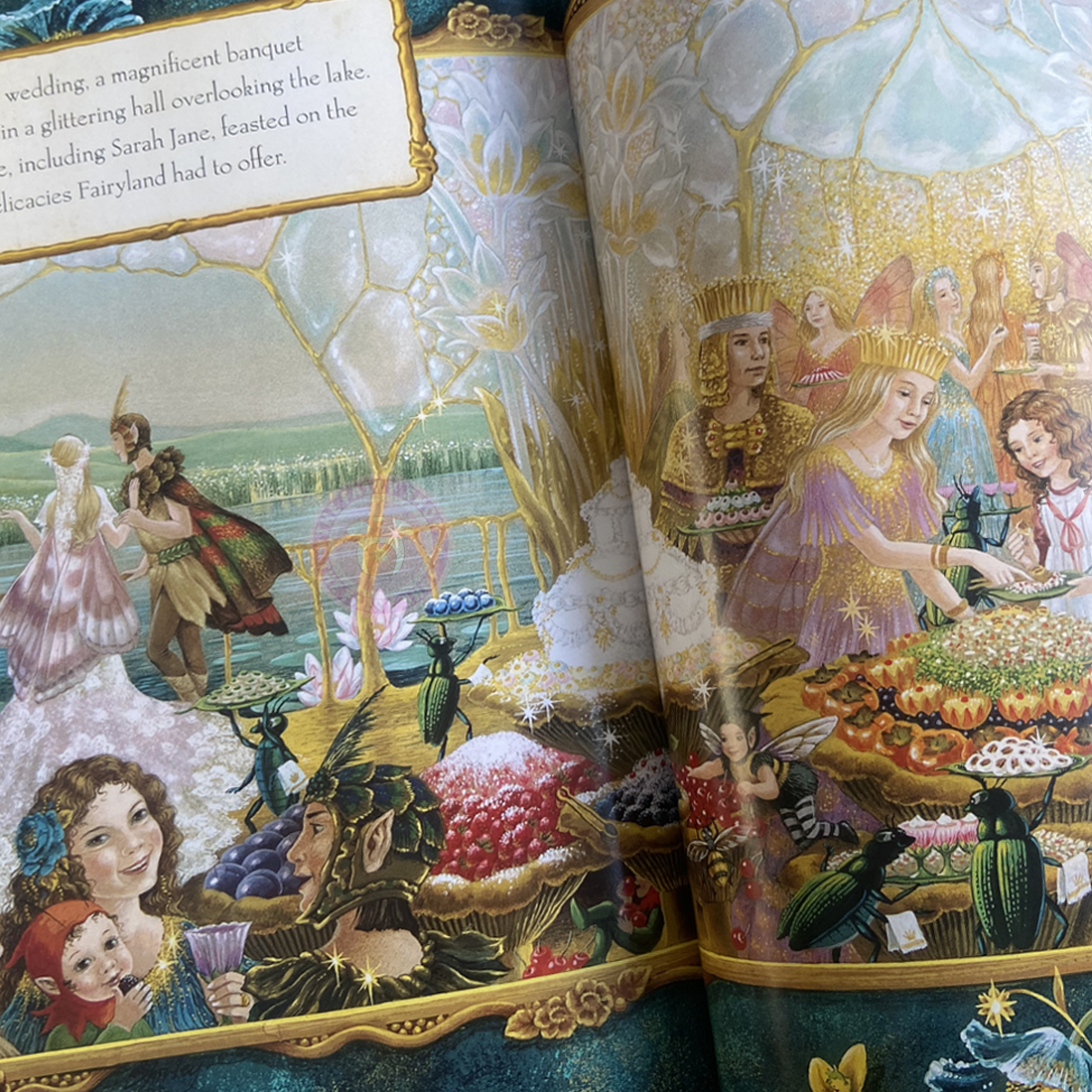 The Enchanted Woods Hardback Book by Shirley Barber