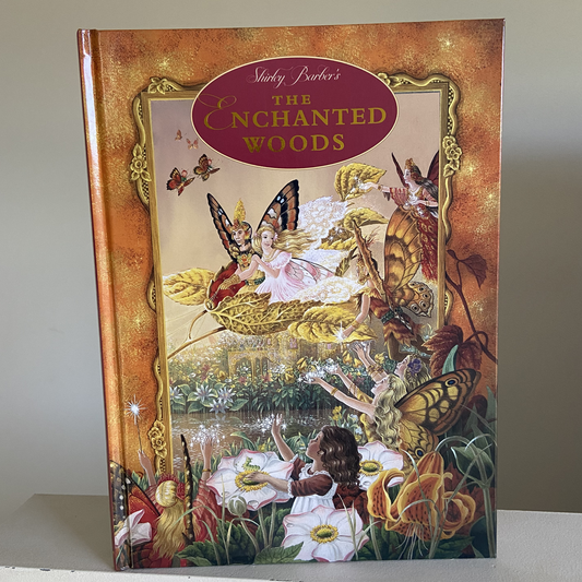 The Enchanted Woods Hardback Book by Shirley Barber