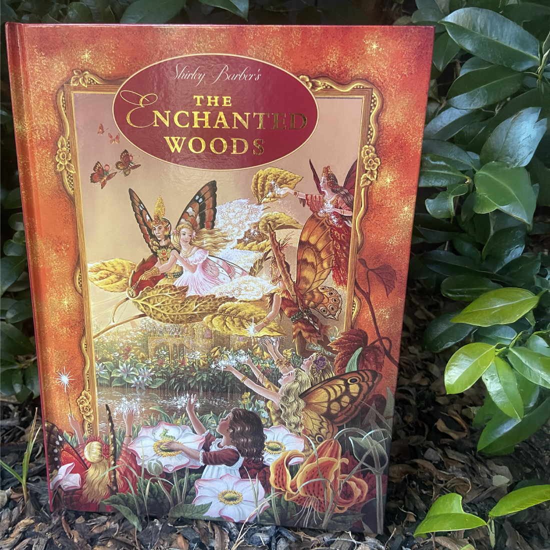The Enchanted Woods Hardback Book by Shirley Barber