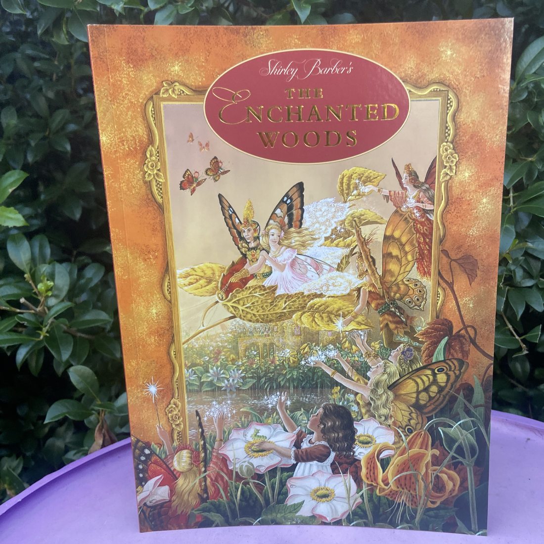 The Enchanted Woods Paperback Book by Shirley Barber