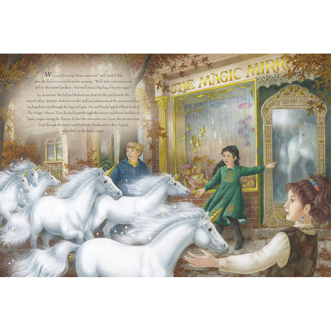The Magic Unicorns Hardback Book by Shirley Barber