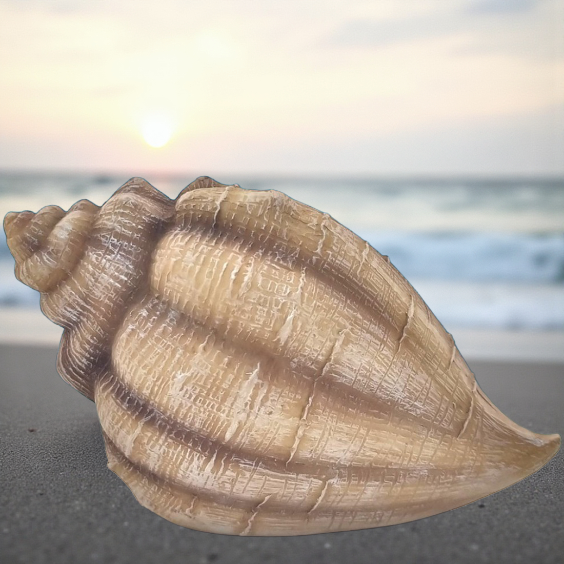 The Mermaid Conch Shell House