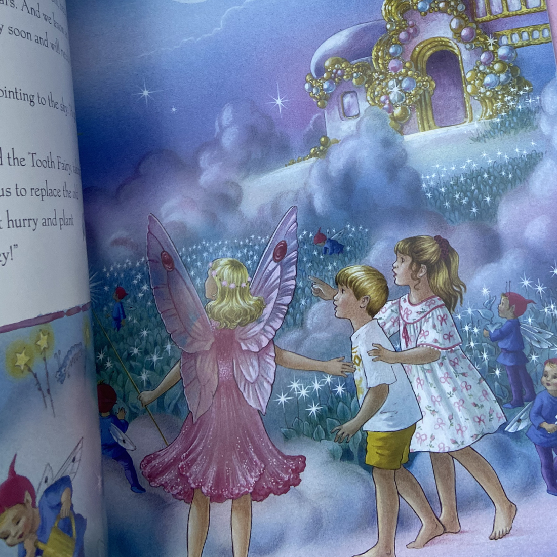 The Tooth Fairy by Shirley Barber Paperback Book