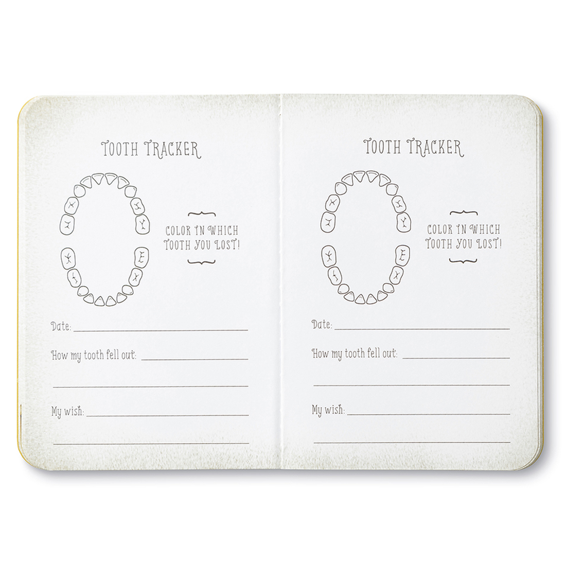 The Tooth Fairy Kit