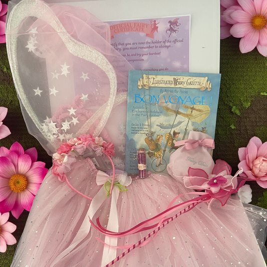 The Ultimate Pink Fairy Gift Box Set